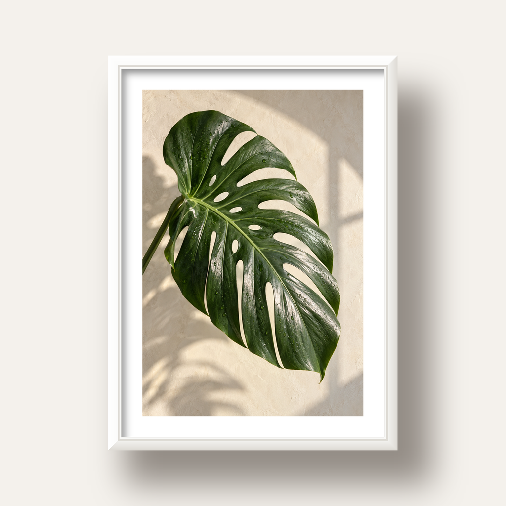 Monstera Yaprağı Close-Up Poster – Doğal ve Modern Duvar Dekoru — beyaz derin çerçeveli paspartulu