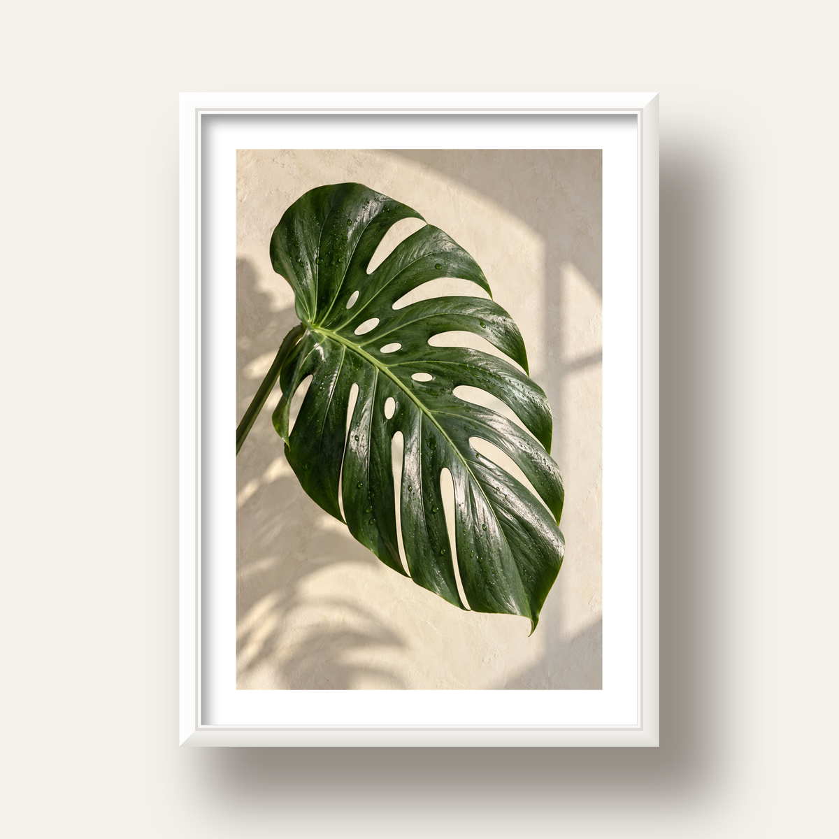 Monstera Yaprağı Close-Up Poster – Doğal ve Modern Duvar Dekoru — beyaz derin çerçeveli paspartulu