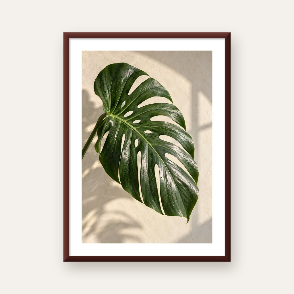Monstera Yaprağı Close-Up Poster – Doğal ve Modern Duvar Dekoru — ceviz çerçeveli paspartulu