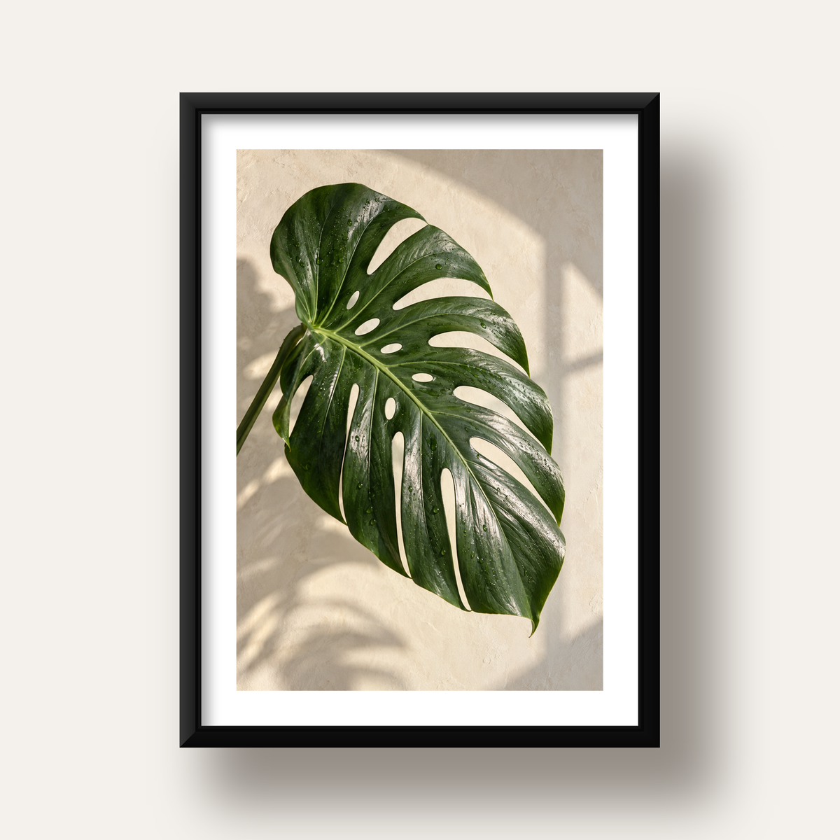Monstera Yaprağı Close-Up Poster – Doğal ve Modern Duvar Dekoru — siyah derin çerçeveli paspartulu