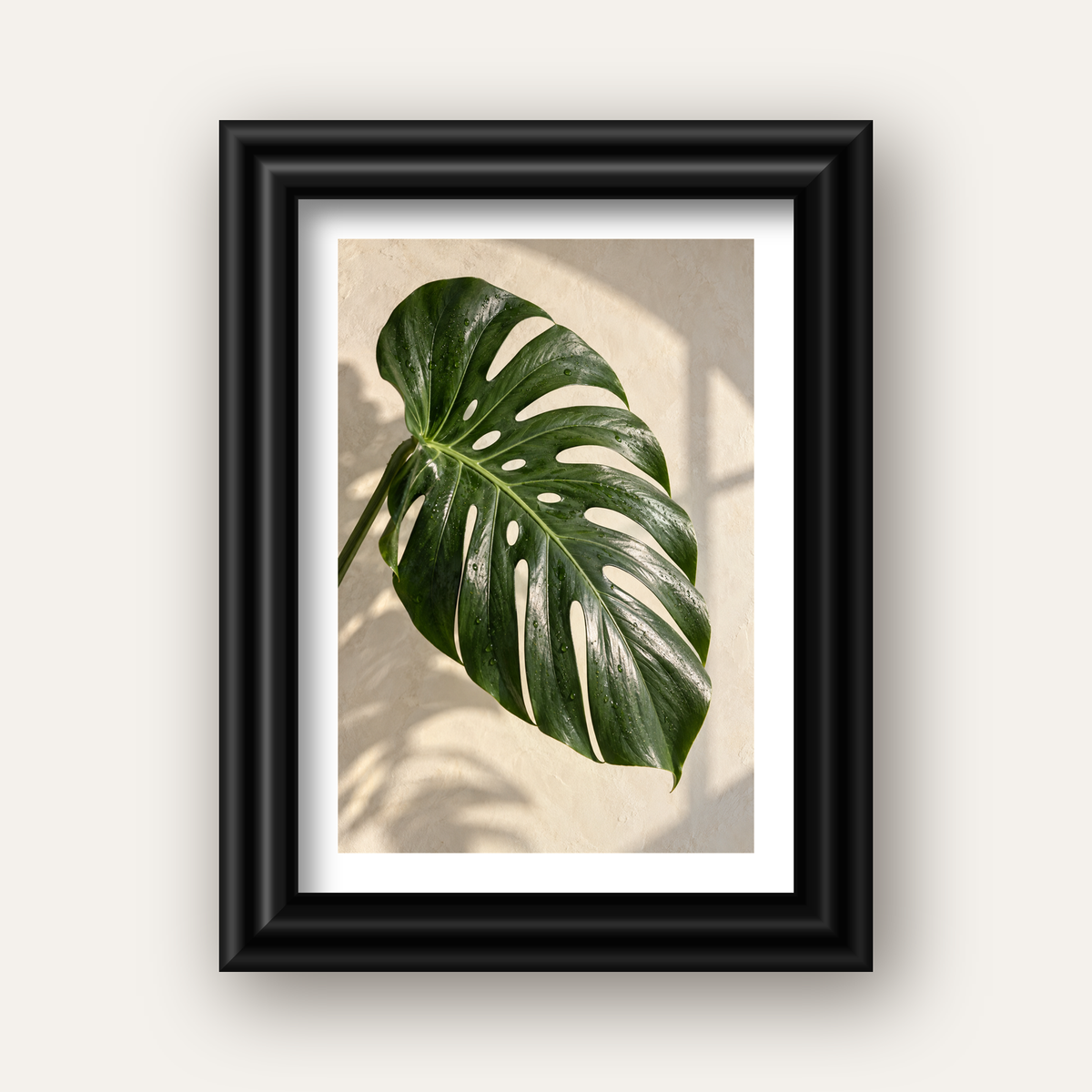 Monstera Yaprağı Close-Up Poster – Doğal ve Modern Duvar Dekoru — siyah galeri çerçeveli paspartulu
