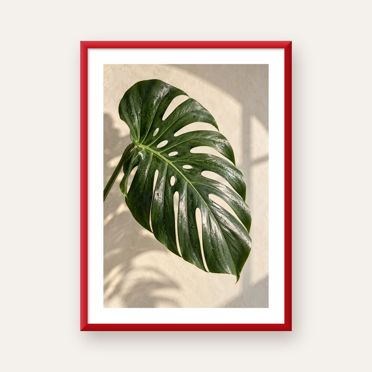 Monstera Yaprağı Close-Up Poster – Doğal ve Modern Duvar Dekoru — kırmızı çerçeveli paspartulu