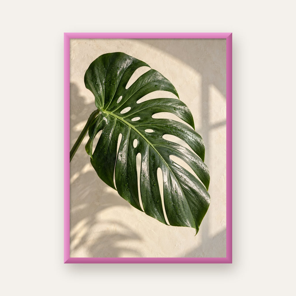 Monstera Yaprağı Close-Up Poster – Doğal ve Modern Duvar Dekoru — pembe çerçeveli