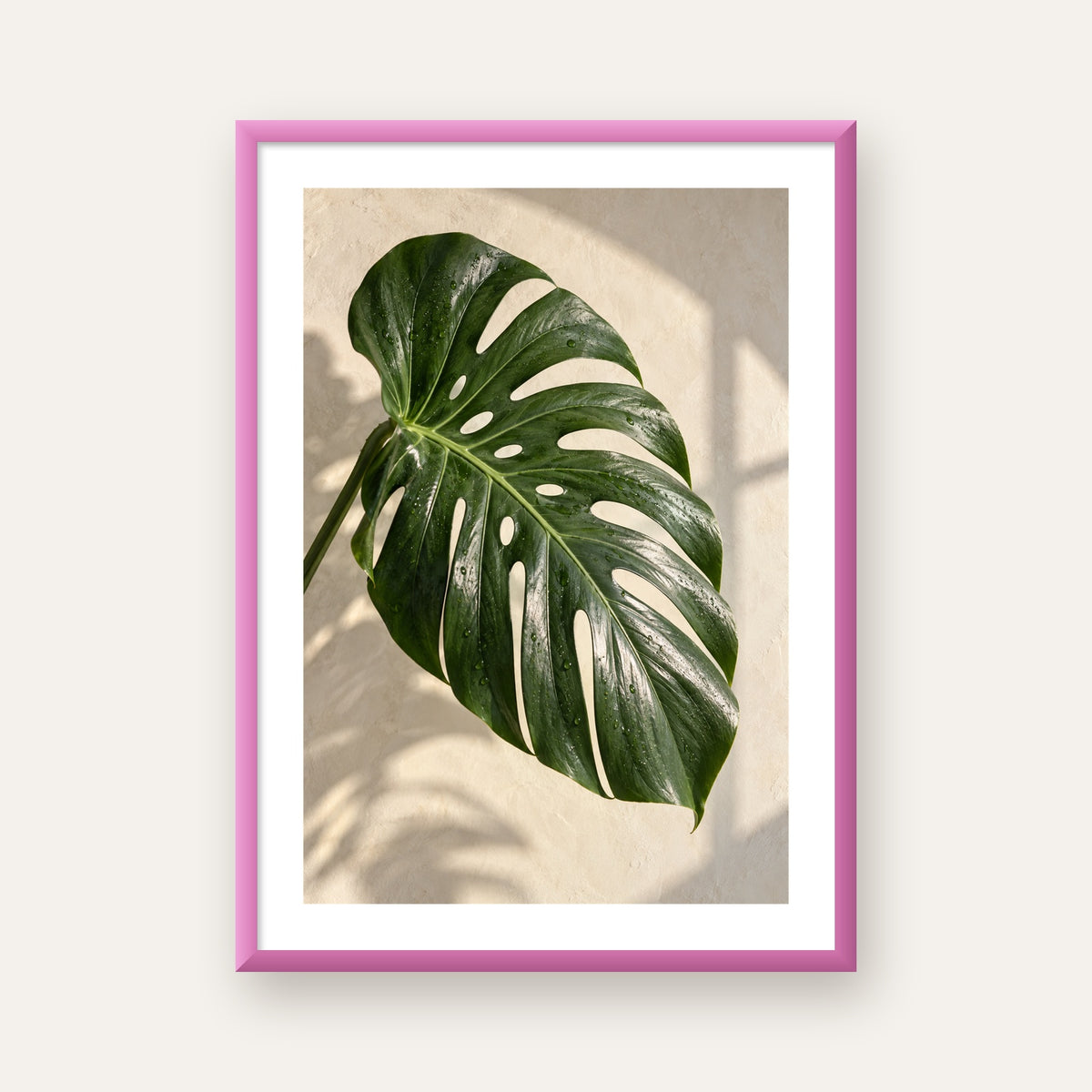 Monstera Yaprağı Close-Up Poster – Doğal ve Modern Duvar Dekoru — pembe çerçeveli paspartulu