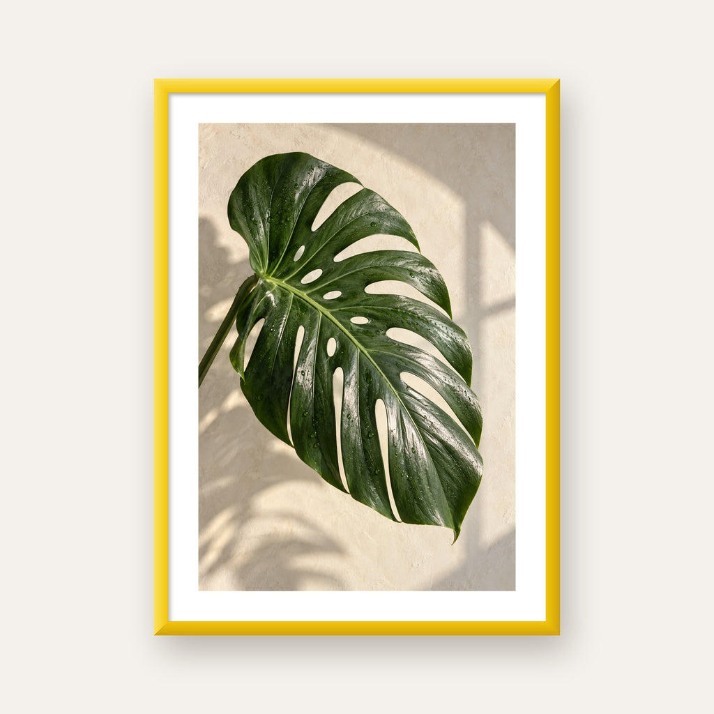 Monstera Yaprağı Close-Up Poster – Doğal ve Modern Duvar Dekoru — sarı çerçeveli paspartulu