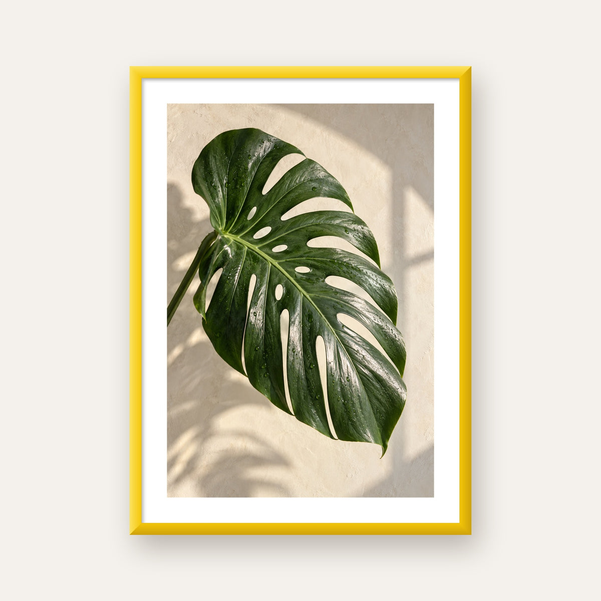 Monstera Yaprağı Close-Up Poster – Doğal ve Modern Duvar Dekoru — sarı çerçeveli paspartulu