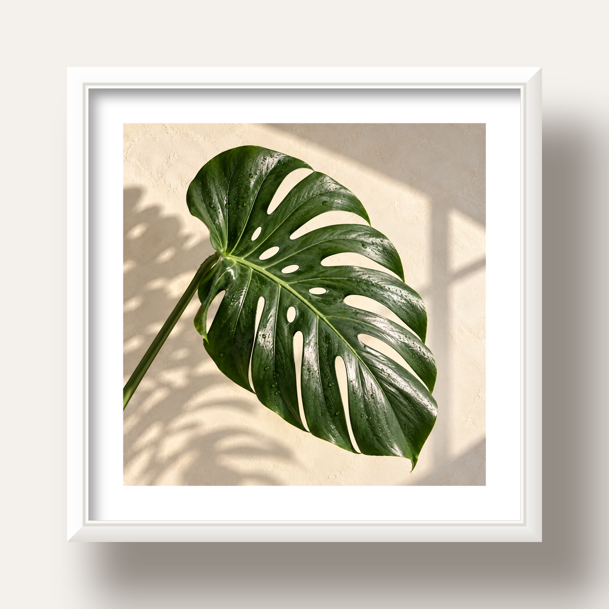 Monstera Yaprağı Close-Up Poster – Doğal ve Modern Duvar Dekoru — beyaz derin çerçeveli paspartulu
