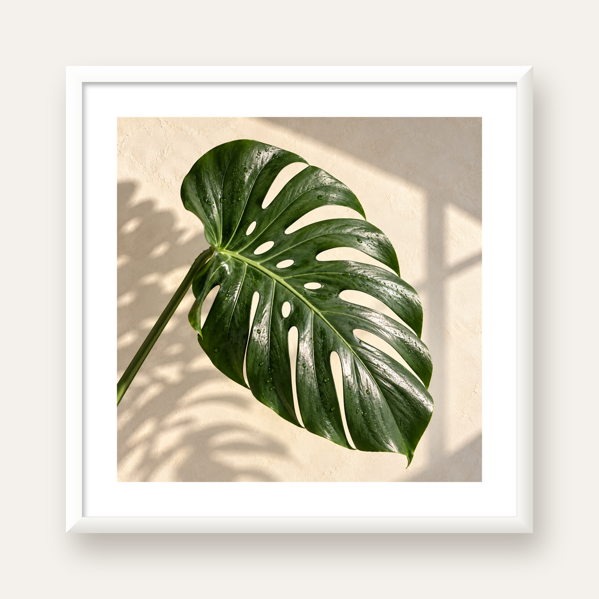 Monstera Yaprağı Close-Up Poster – Doğal ve Modern Duvar Dekoru — beyaz çerçeveli kare poster