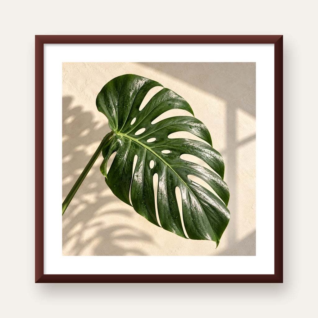 Monstera Yaprağı Close-Up Poster – Doğal ve Modern Duvar Dekoru — ceviz çerçeveli paspartulu