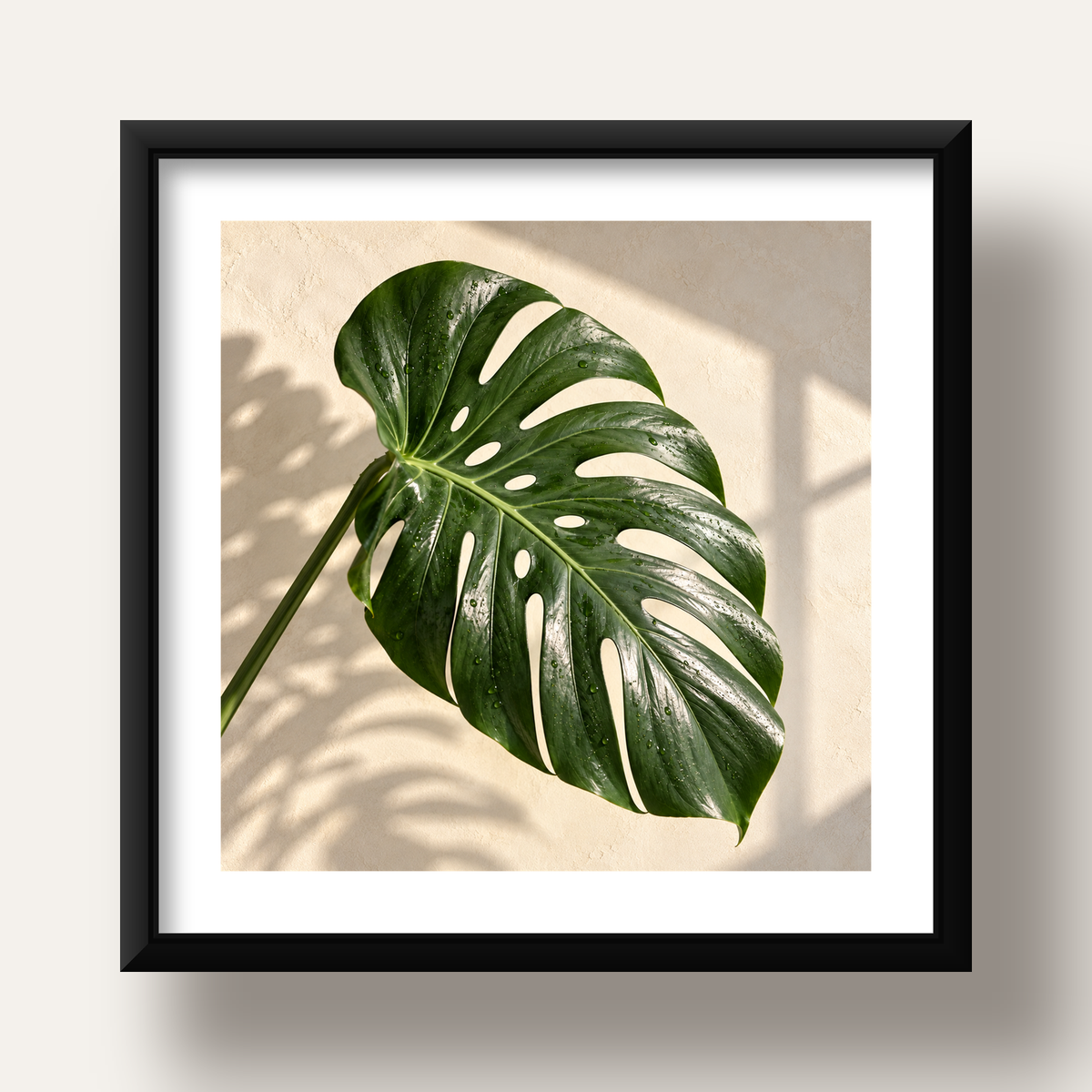 Monstera Yaprağı Close-Up Poster – Doğal ve Modern Duvar Dekoru — siyah derin çerçeveli paspartulu