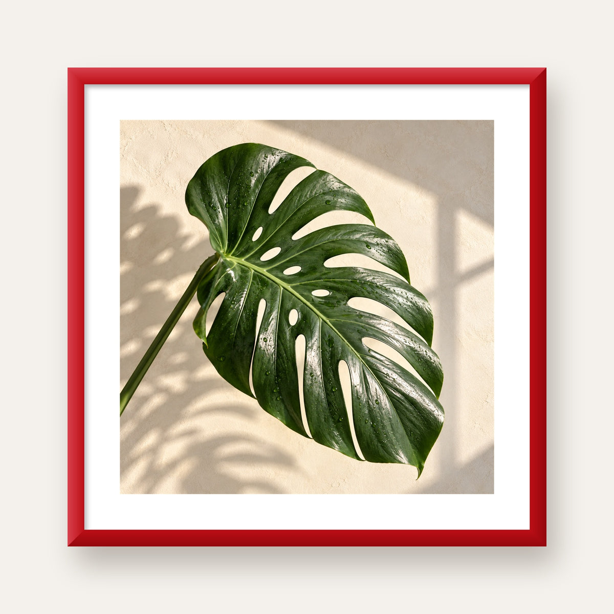 Monstera Yaprağı Close-Up Poster – Doğal ve Modern Duvar Dekoru — kırmızı çerçeveli paspartulu