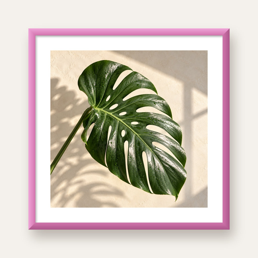 Monstera Yaprağı Close-Up Poster – Doğal ve Modern Duvar Dekoru — pembe çerçeveli paspartulu