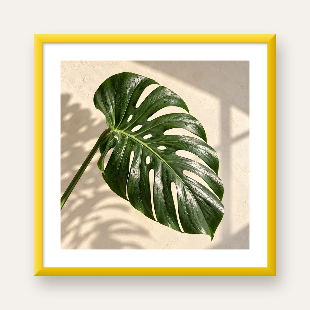 Monstera Yaprağı Close-Up Poster – Doğal ve Modern Duvar Dekoru — sarı çerçeveli paspartulu