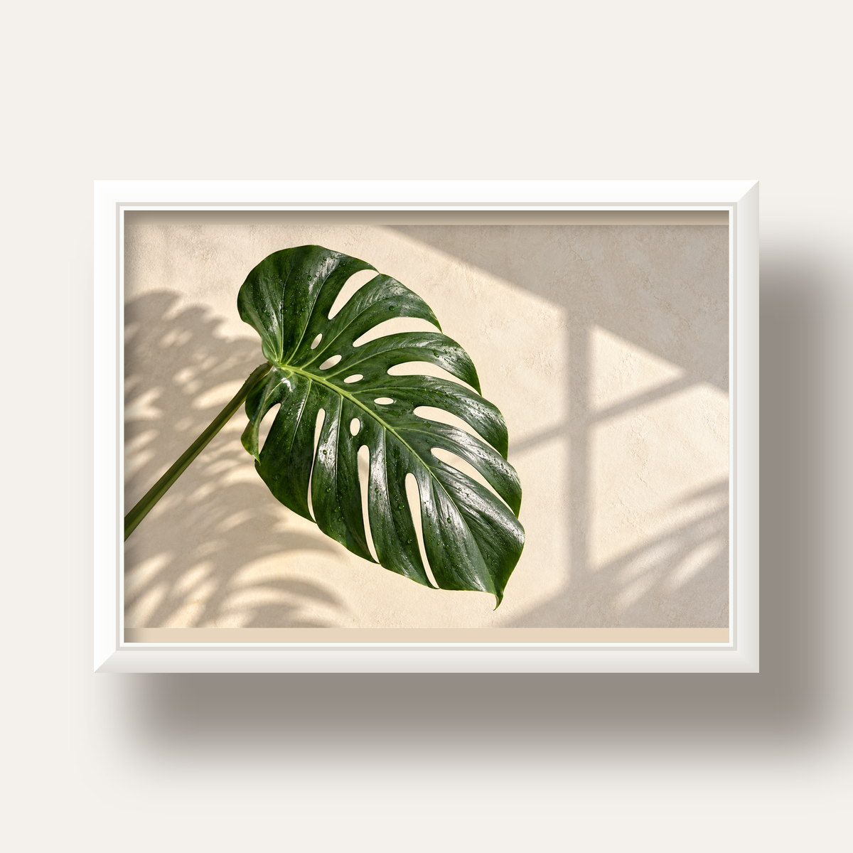 Monstera Yaprağı Close-Up Poster – Doğal ve Modern Duvar Dekoru — beyaz derin çerçeveli
