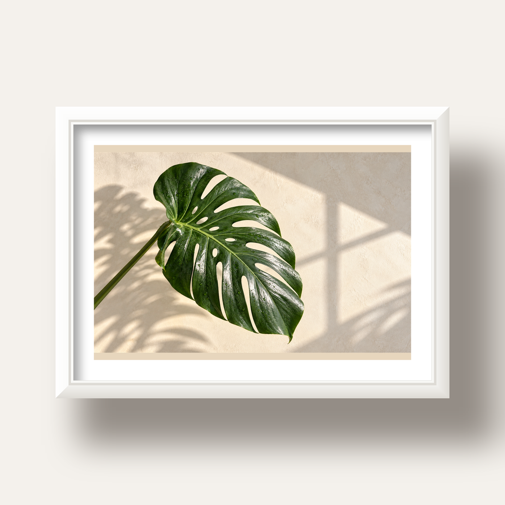 Monstera Yaprağı Close-Up Poster – Doğal ve Modern Duvar Dekoru — beyaz derin çerçeveli paspartulu