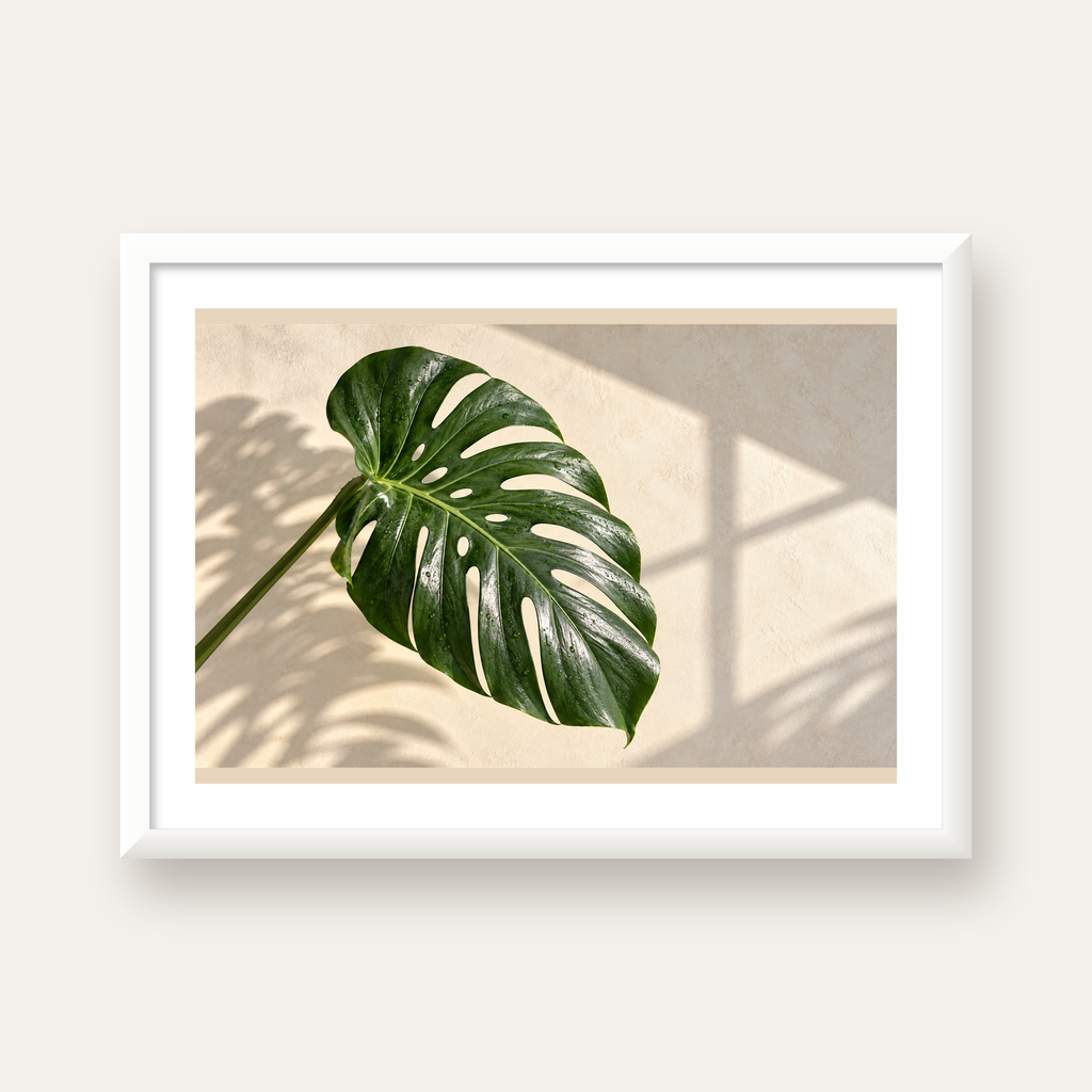 Monstera Yaprağı Close-Up Poster – Doğal ve Modern Duvar Dekoru — beyaz çerçeveli yatay poster