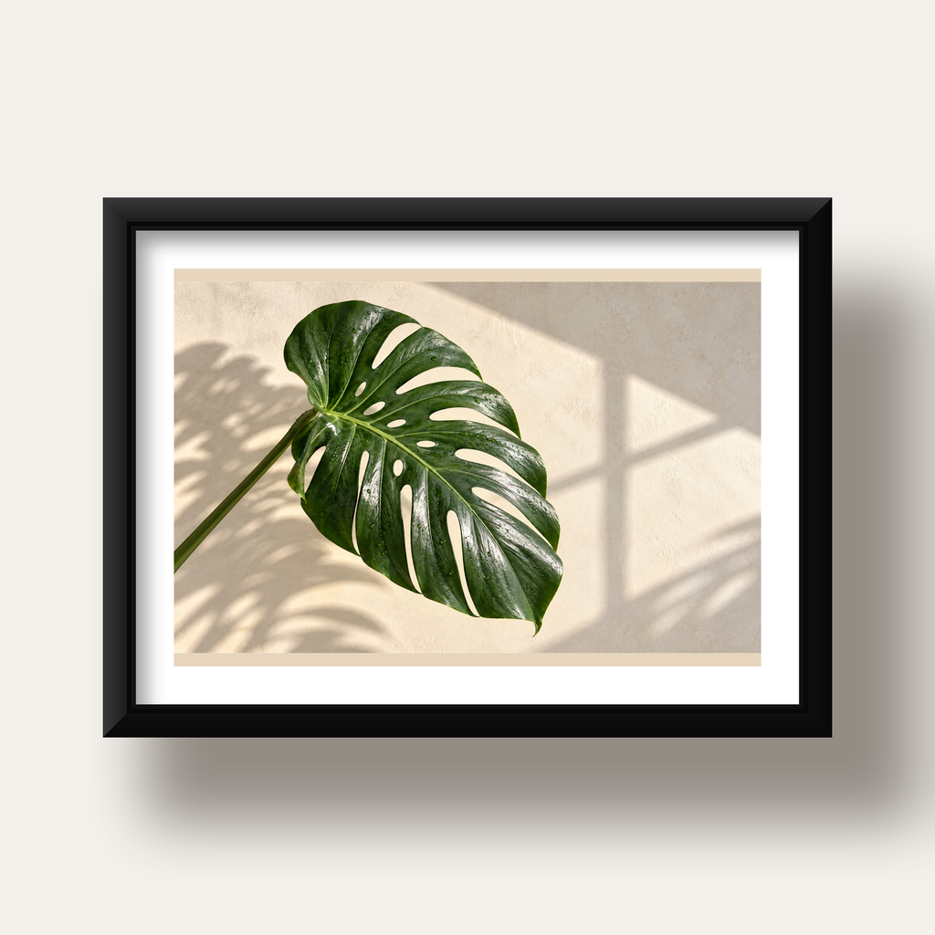 Monstera Yaprağı Close-Up Poster – Doğal ve Modern Duvar Dekoru — siyah derin çerçeveli paspartulu