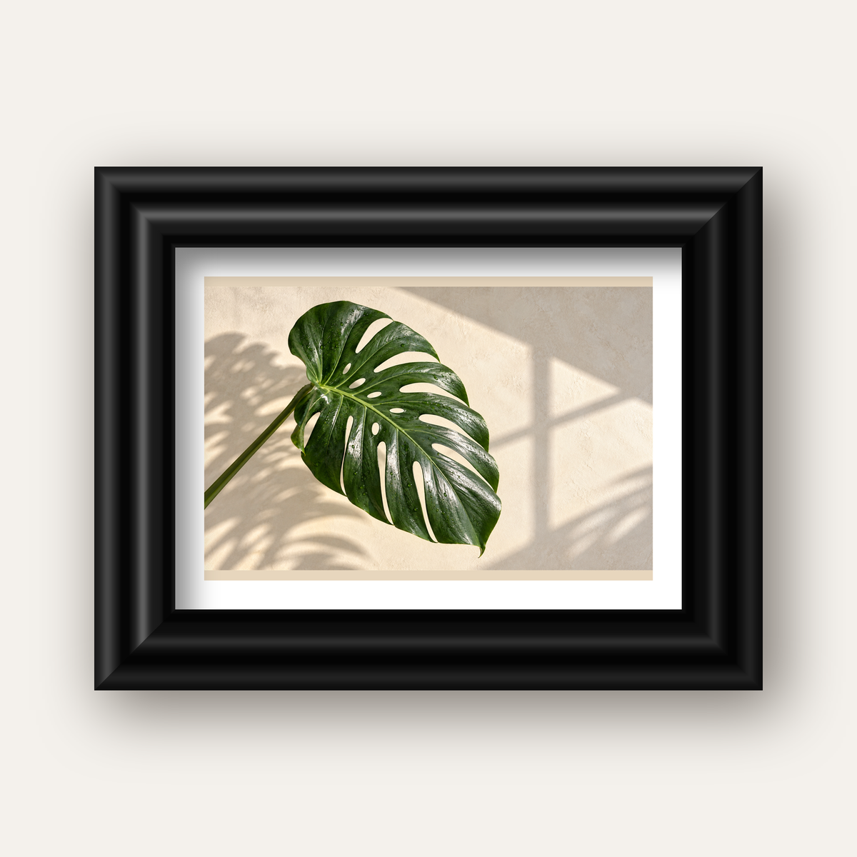 Monstera Yaprağı Close-Up Poster – Doğal ve Modern Duvar Dekoru — siyah galeri çerçeveli paspartulu
