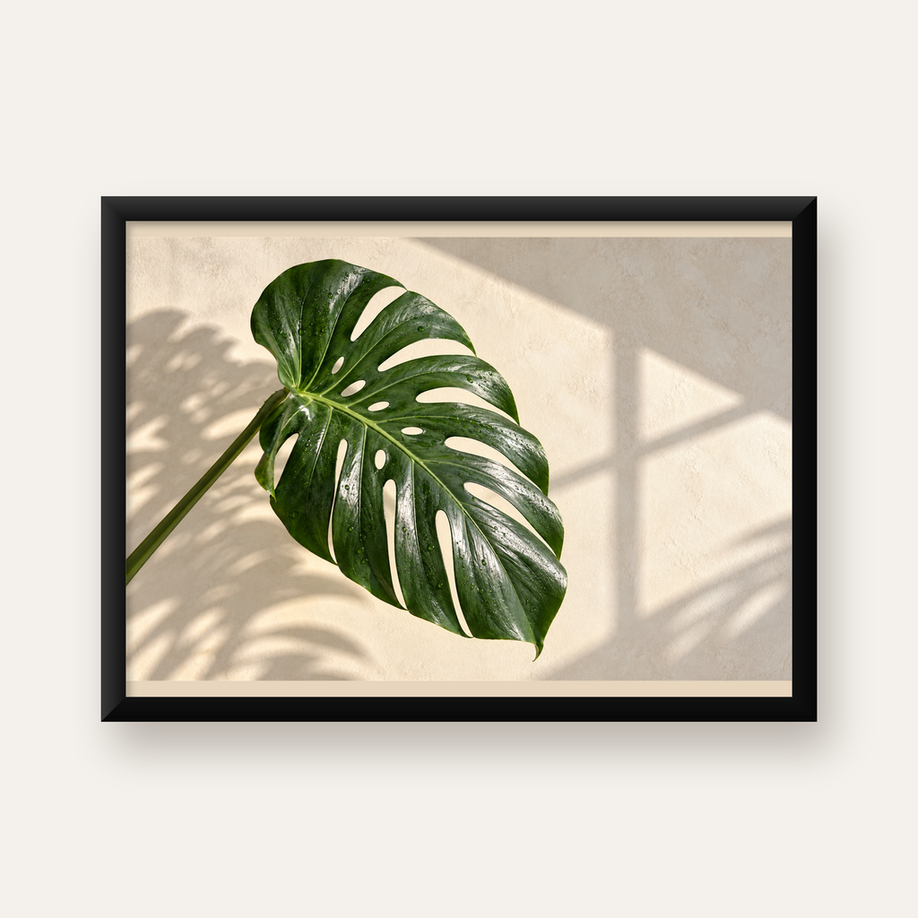 Monstera Yaprağı Close-Up Poster – Doğal ve Modern Duvar Dekoru — Yatay baskı, düz siyah çerçeveli duvar posteri