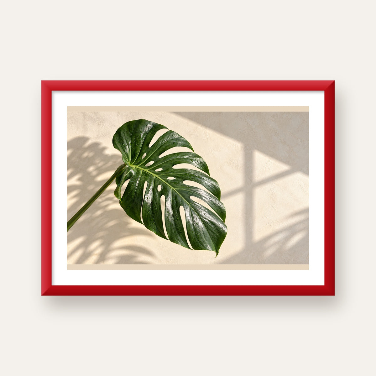Monstera Yaprağı Close-Up Poster – Doğal ve Modern Duvar Dekoru — kırmızı çerçeveli paspartulu