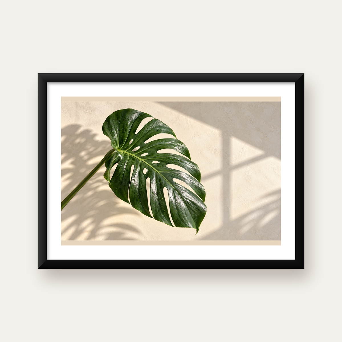 Monstera Yaprağı Close-Up Poster – Doğal ve Modern Duvar Dekoru — Yatay baskı, beyaz paspartulu