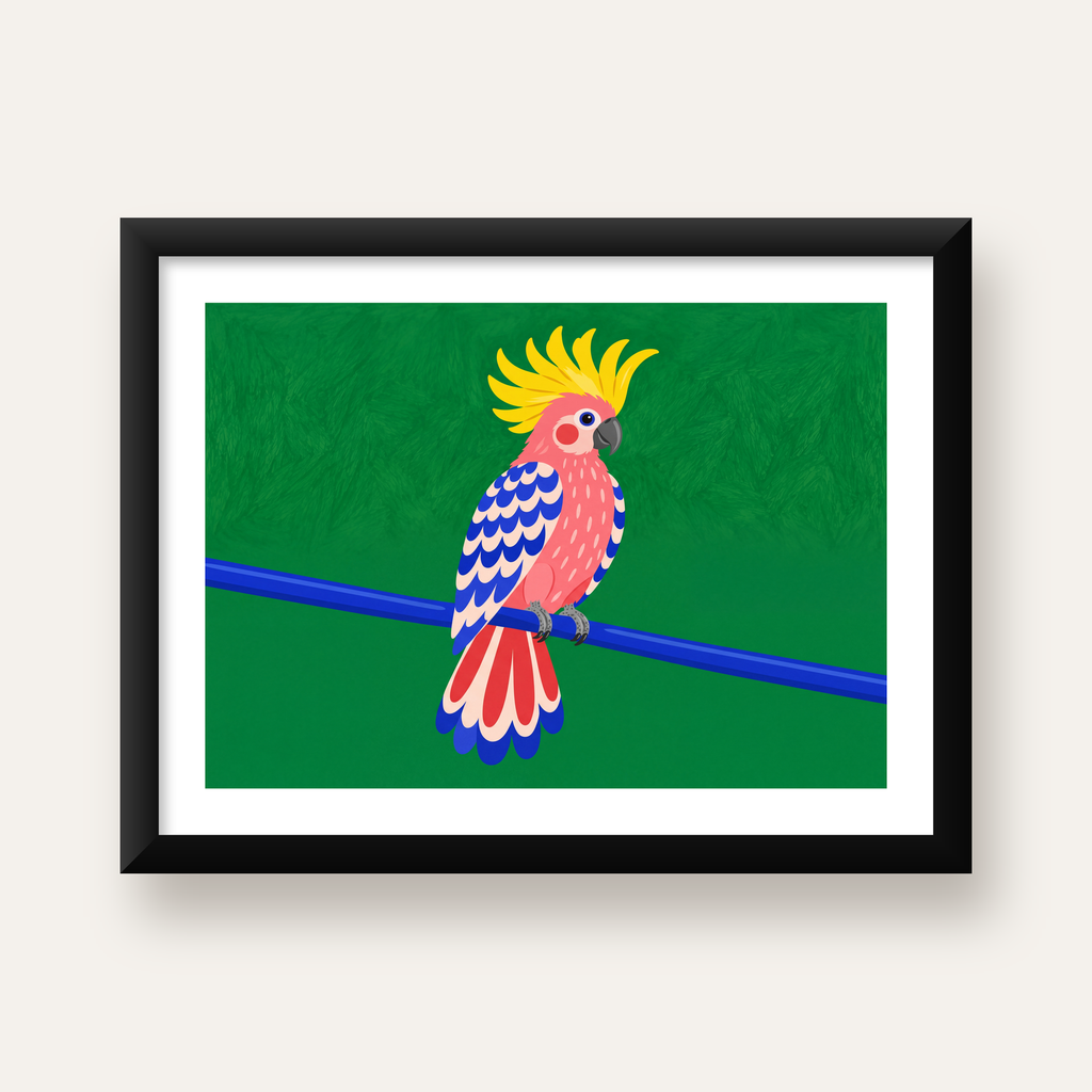 Renkli Kakadu İllüstrasyonu Modern Poster — Yatay baskı, beyaz paspartulu