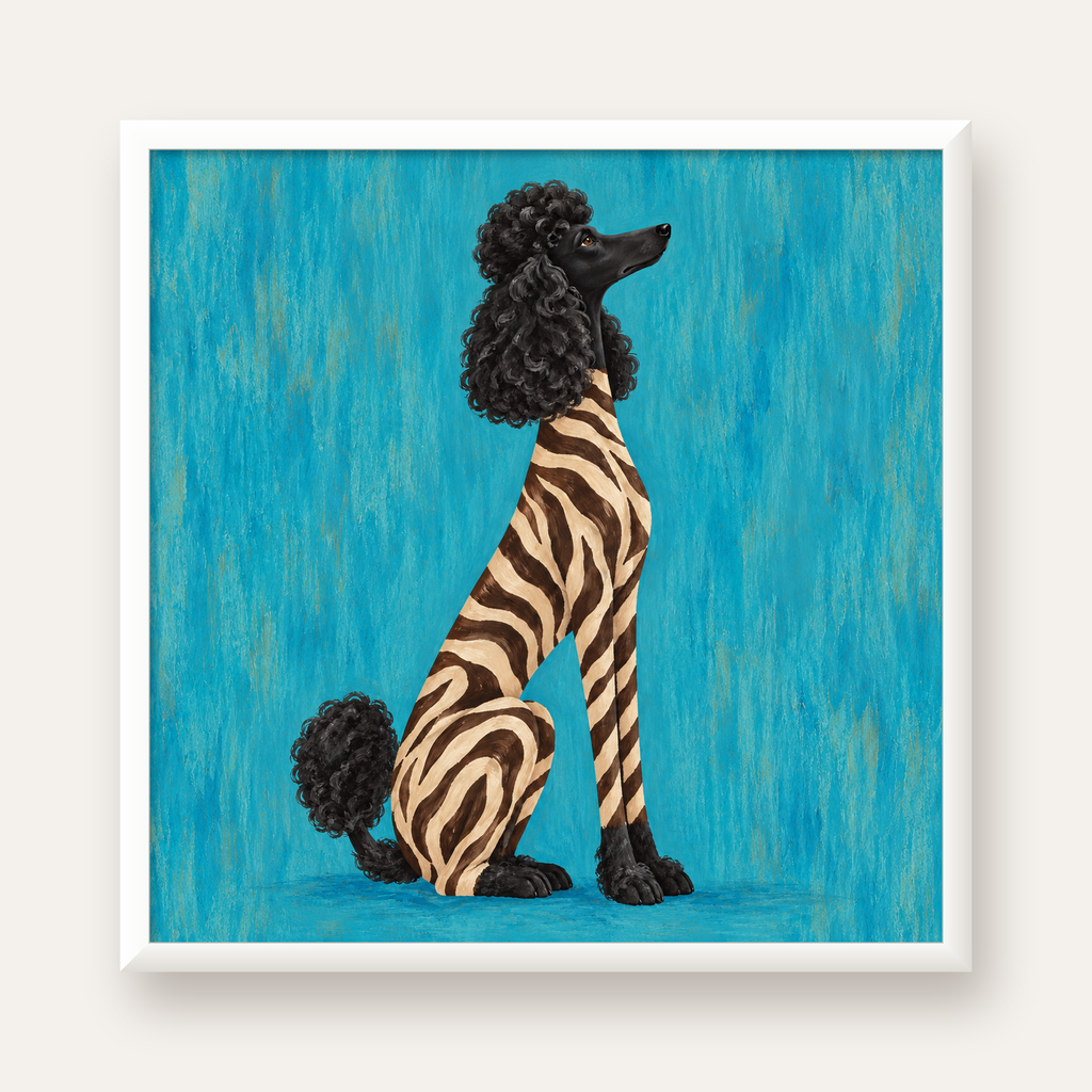 Turkuaz Zebra Desenli Pudel Köpek Poster — beyaz çerçeveli kare poster