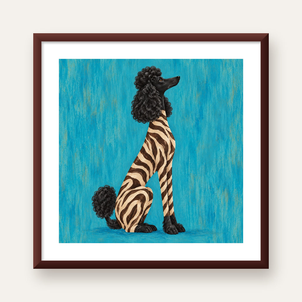 Turkuaz Zebra Desenli Pudel Köpek Poster — ceviz çerçeveli paspartulu