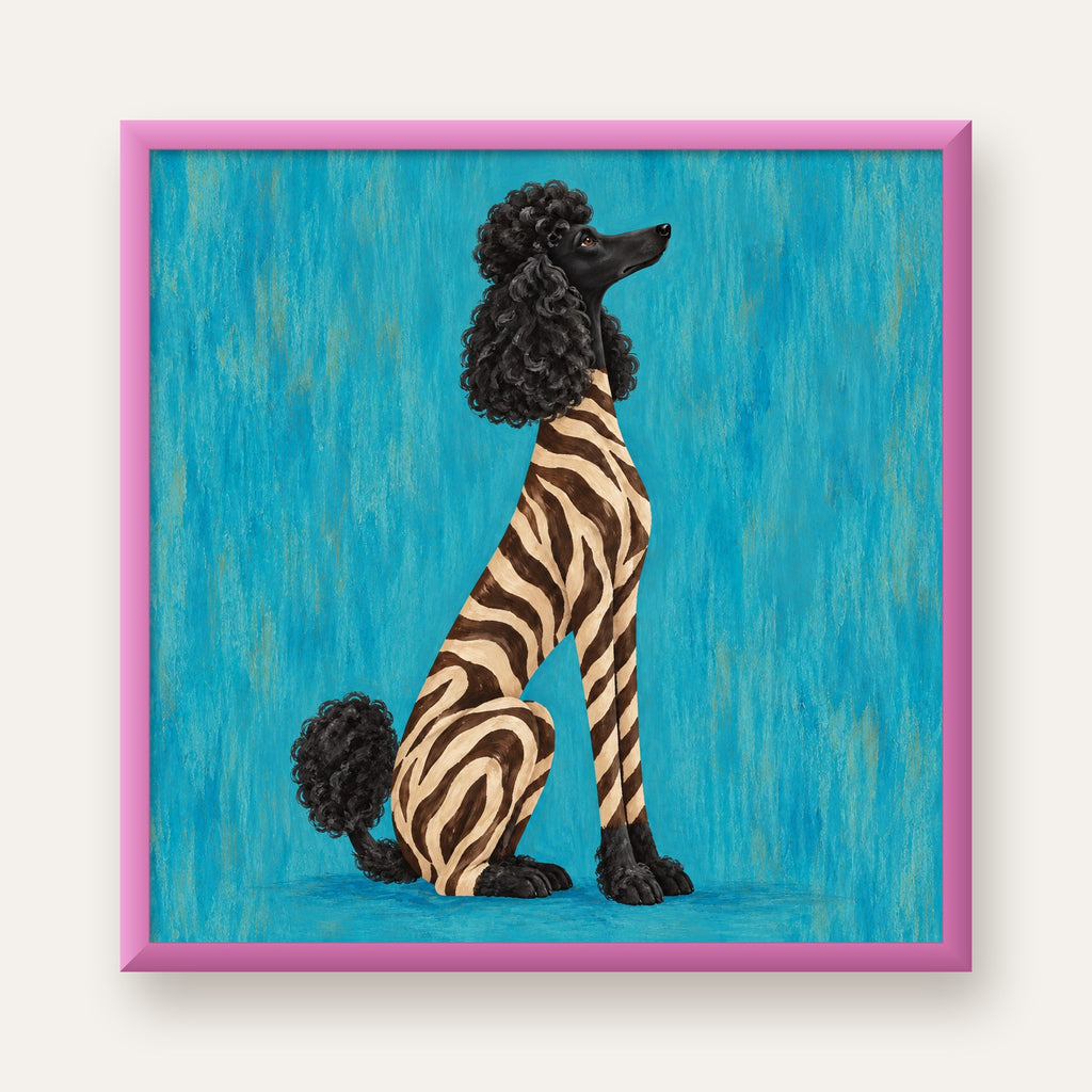 Turkuaz Zebra Desenli Pudel Köpek Poster — pembe çerçeveli