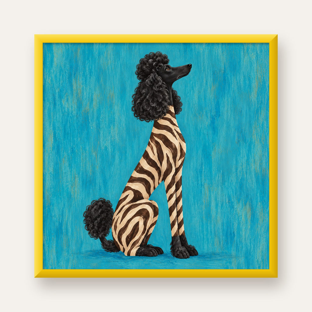Turkuaz Zebra Desenli Pudel Köpek Poster — sarı çerçeveli